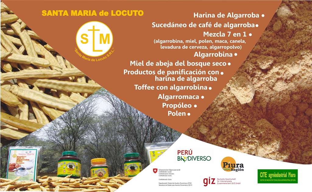 SANTA MARÍA DE LOCUTO